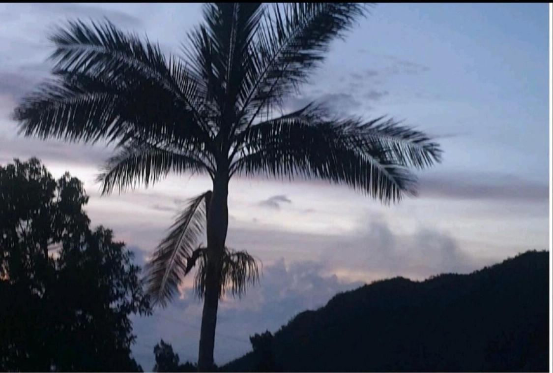 Au Coeur Des Plantations Pensionat La Possession Exteriör bild