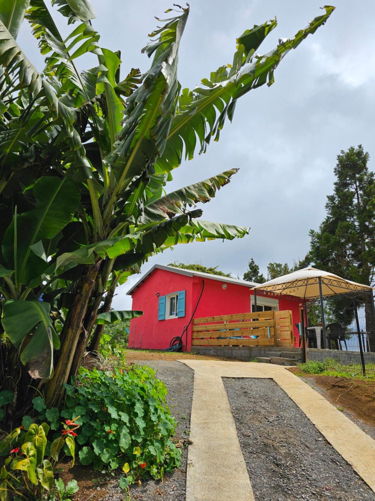 Au Coeur Des Plantations Pensionat La Possession Exteriör bild