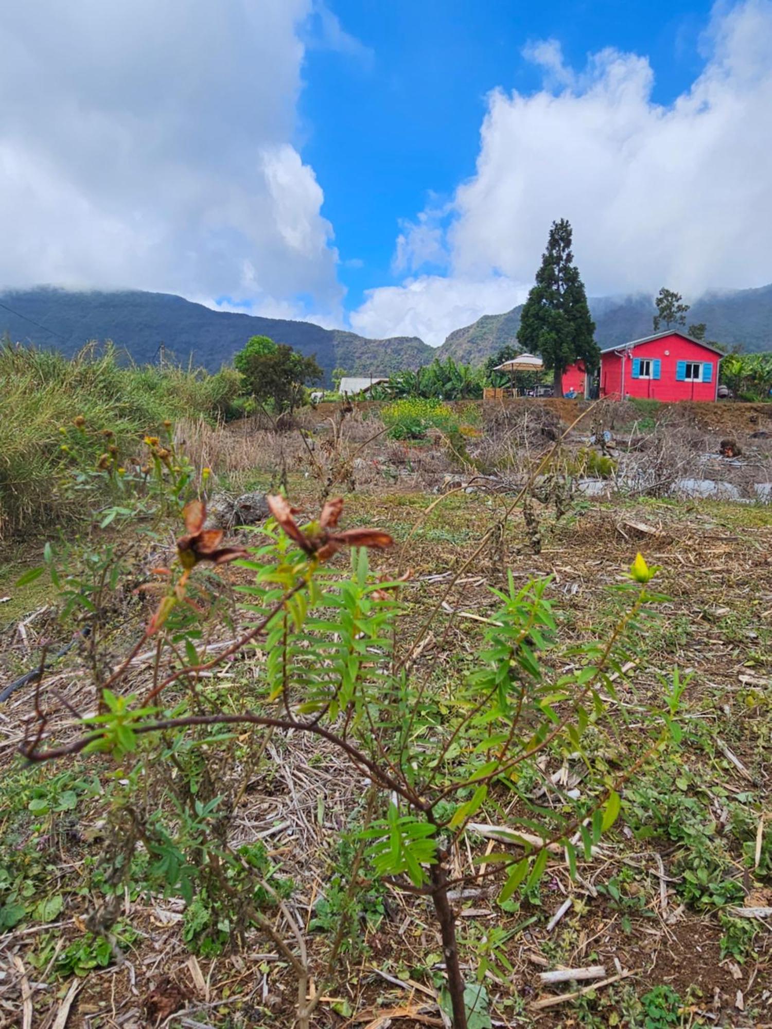 Au Coeur Des Plantations Pensionat La Possession Exteriör bild